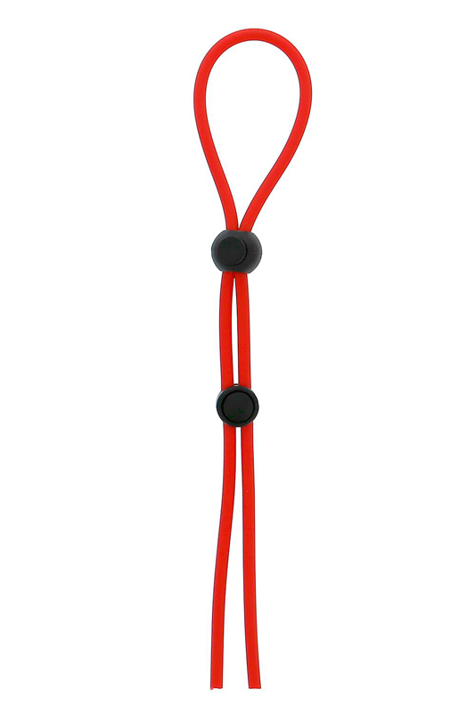 lasso1.jpg
