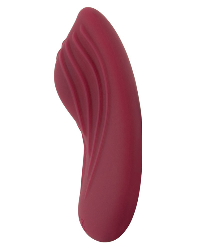 pantyvibe2.jpg