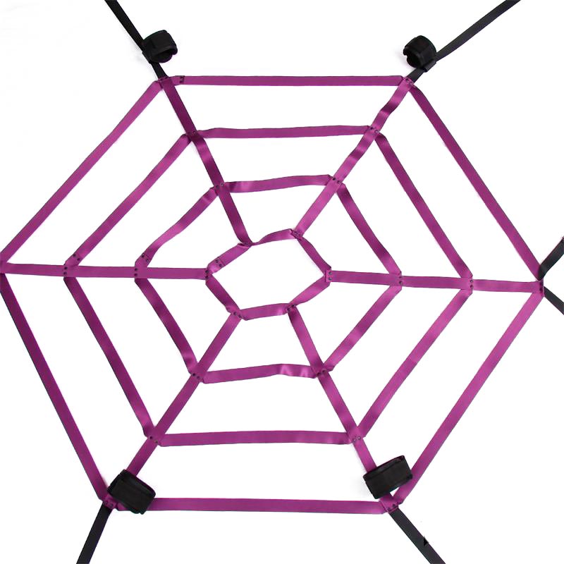 spiderweb1.jpg