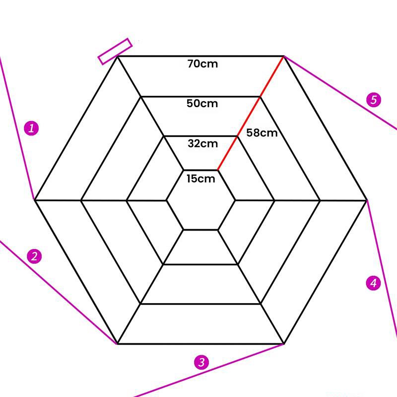 spiderweb2.jpg