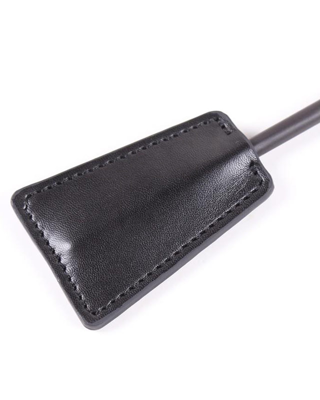 paddle4.jpg