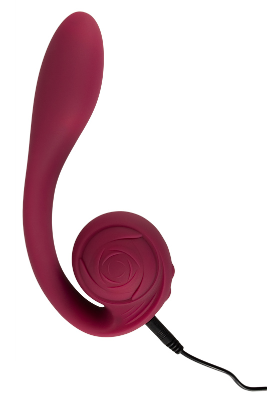 rose6.jpg