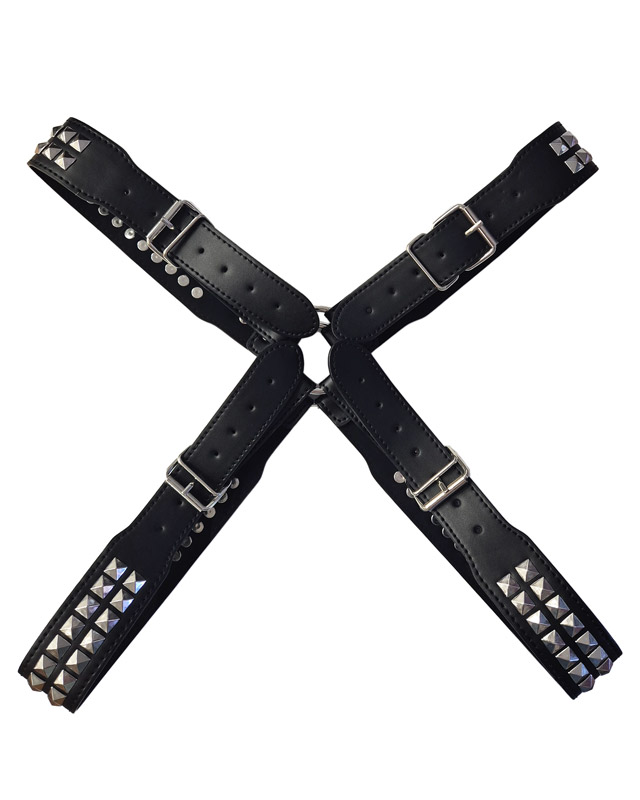 harness2.jpg