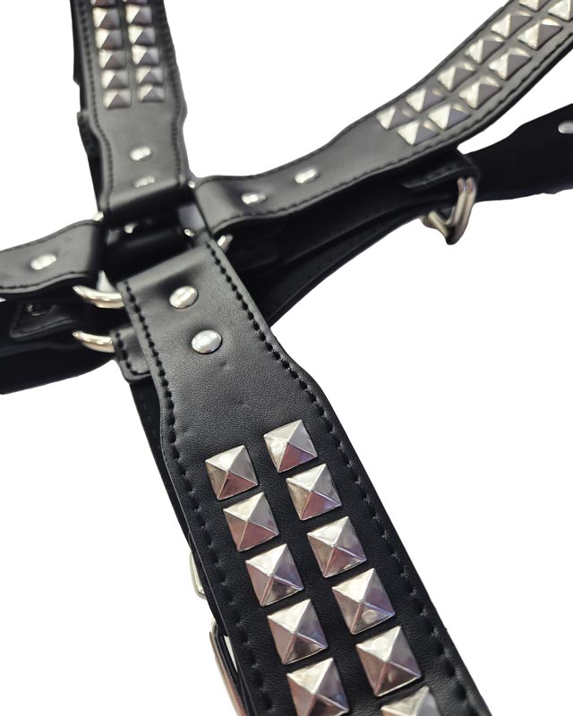 harness3.jpg