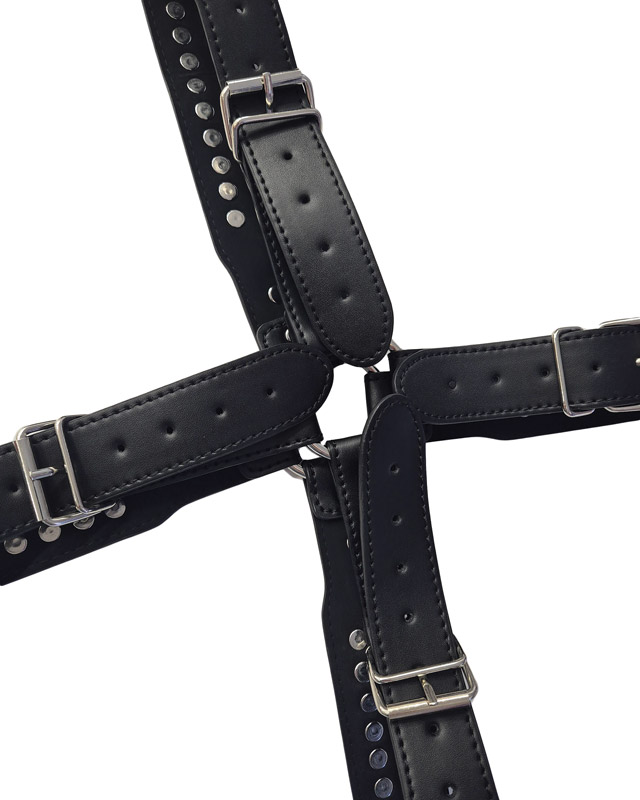 harness4.jpg