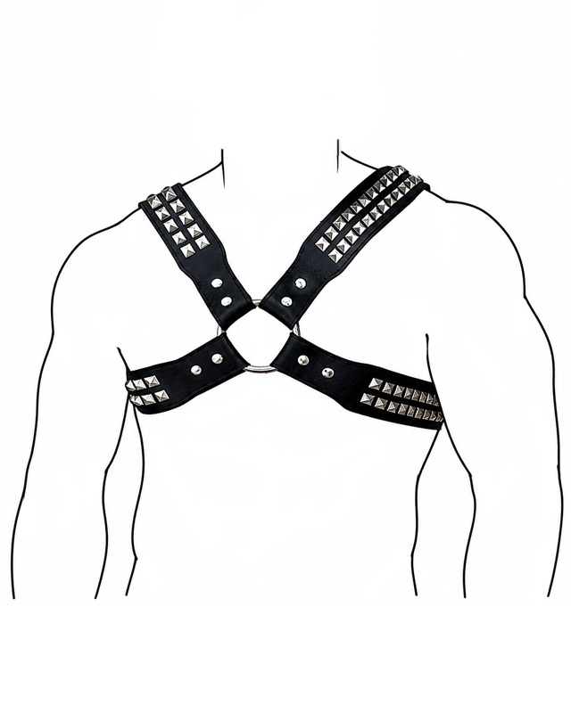 harness99.jpg