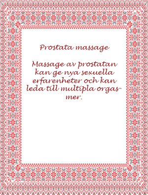 Produktbild för artikel 1144 (1144_1.jpg)