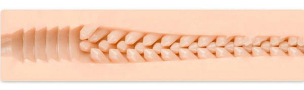 Produktbild för artikel 2499 (2499_2.jpg)