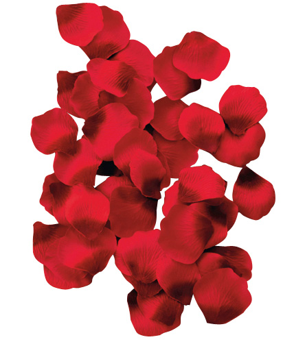 Produktbild för artikel 2916 (2916_1.jpg)