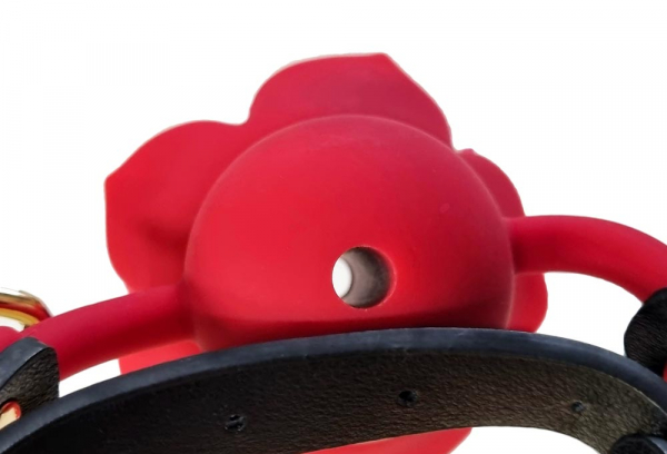 Produktbild för artikel 5175 (5175_4.jpg)