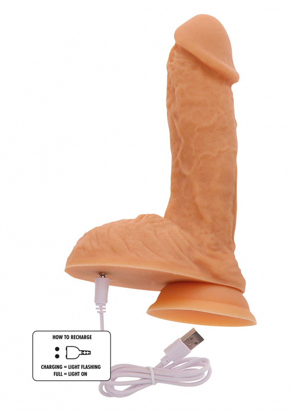 Produktbild för artikel 5181 (5181_4.jpg)