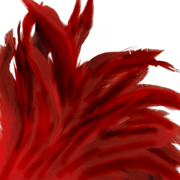 Produktbild för artikel 5553 (5553_4.jpg)