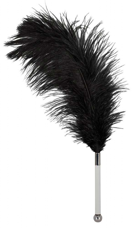 Produktbild för artikel 5563 (5563_1.jpg)