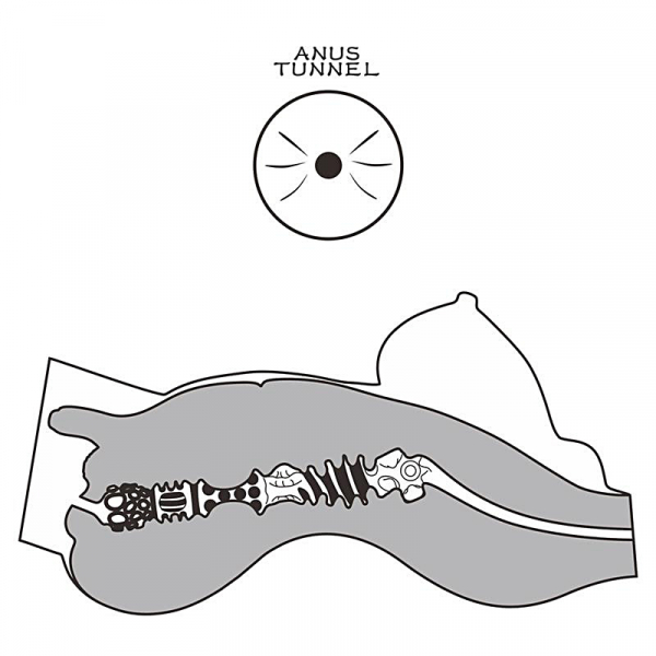 Produktbild för artikel 5579 (5579_7.jpg)