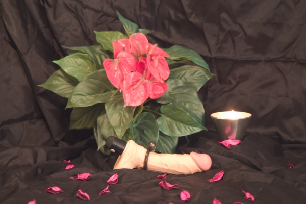 Produktbild för artikel 9279 (9279_2.jpg)