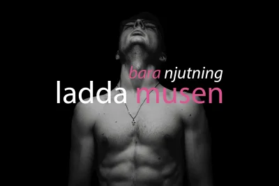 Ladda musen.webp